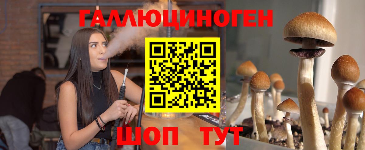 Галлюциногенные грибы мицелий Арсеньев